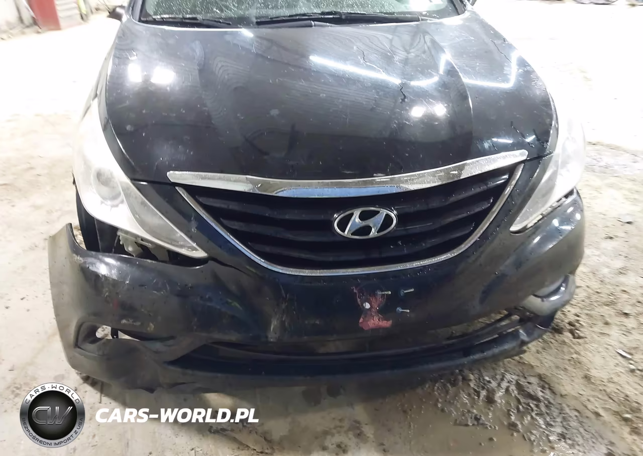 2013 Hyundai Sonata Gls VIN:5NPEB4AC7DH532306 - 12