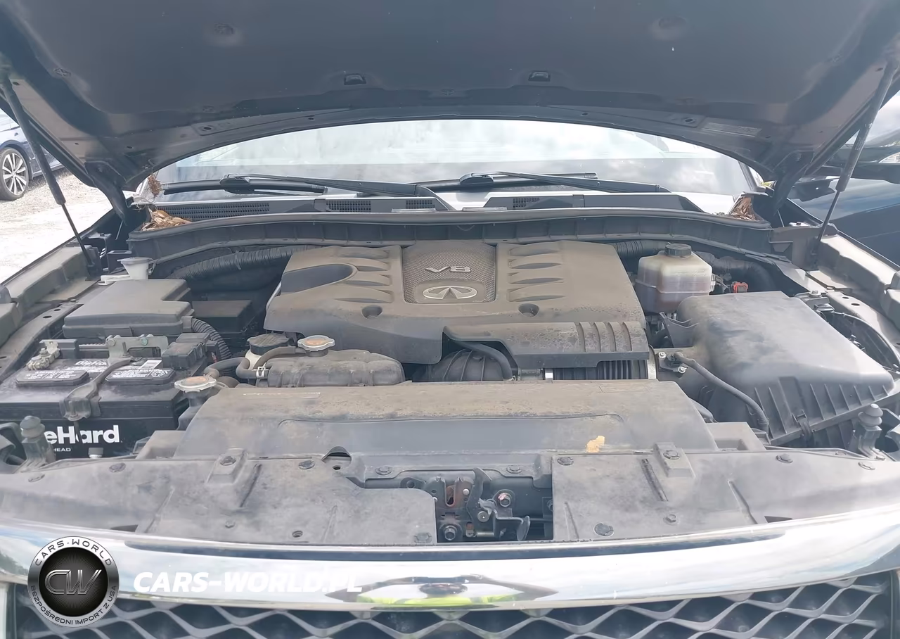 2017 Infiniti Qx80 Limited VIN:JN8AZ2NE3H9150383 - 10