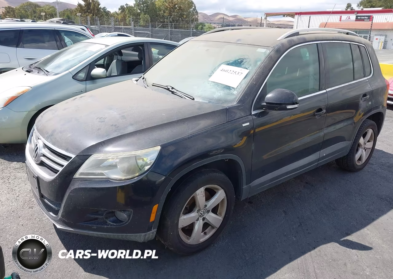 2010 Volkswagen Tiguan Wolfsburg Edition VIN:WVGAV7AX5AW003187 - 2
