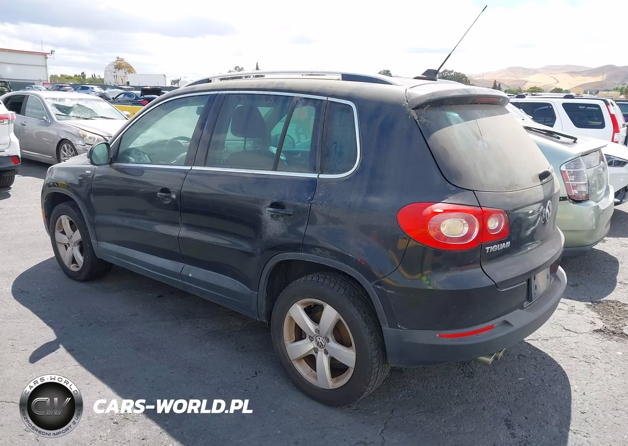 2010 Volkswagen Tiguan Wolfsburg Edition VIN:WVGAV7AX5AW003187 - 3