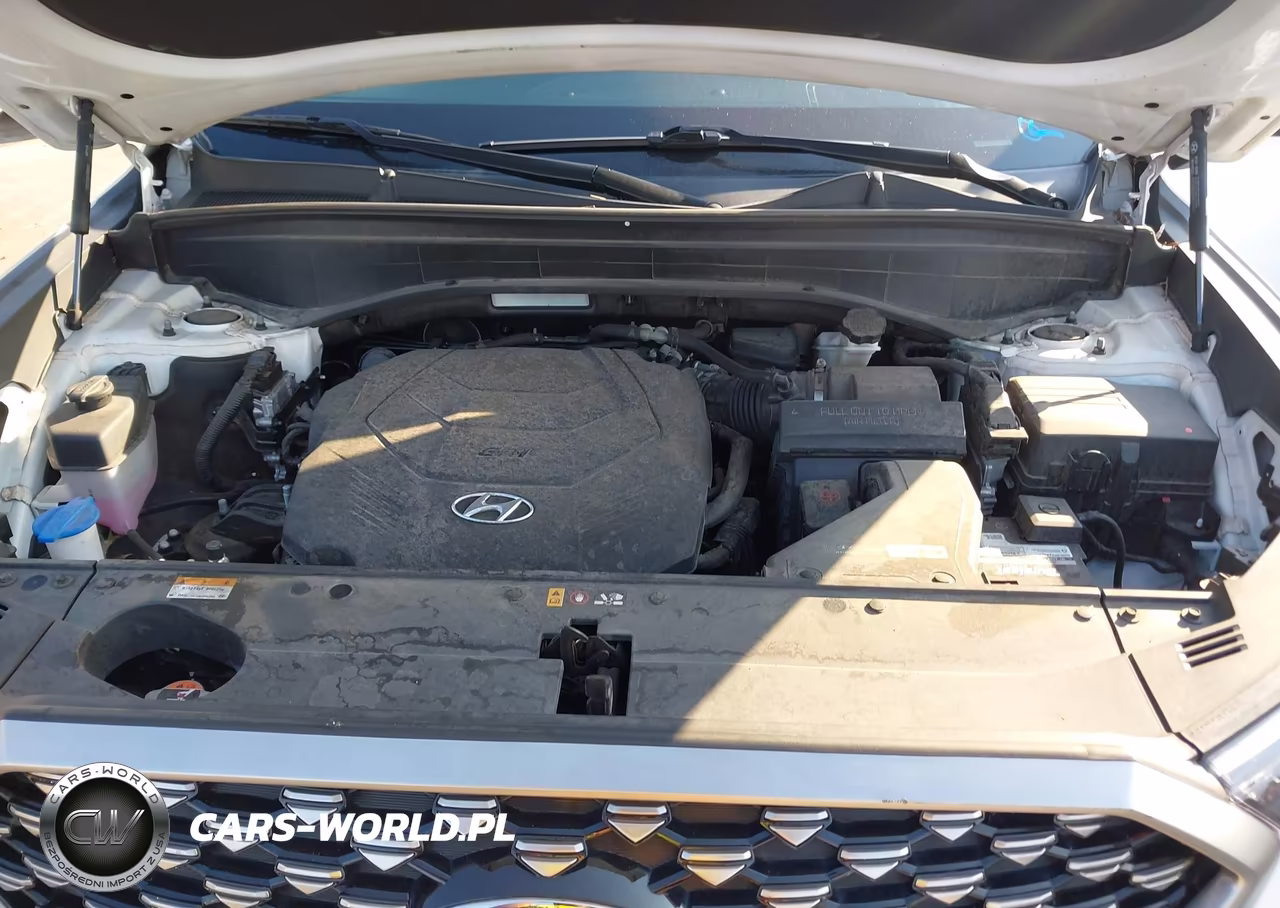 2022 Hyundai Palisade Calligraphy VIN:KM8R74HE5NU427082 - 10
