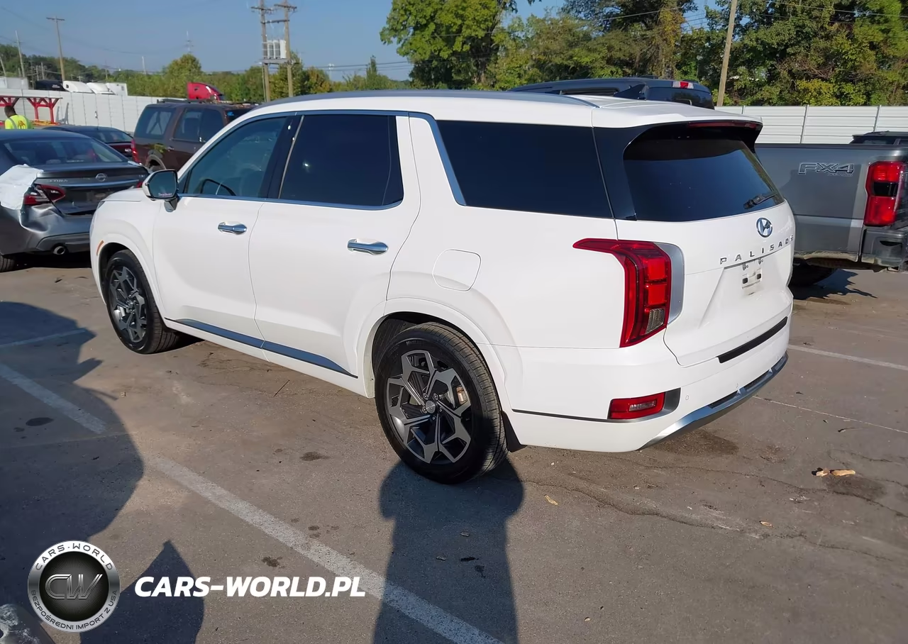 2022 Hyundai Palisade Calligraphy VIN:KM8R74HE5NU427082 - 3