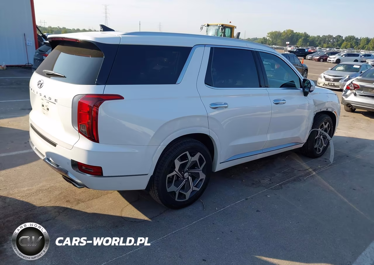 2022 Hyundai Palisade Calligraphy VIN:KM8R74HE5NU427082 - 4