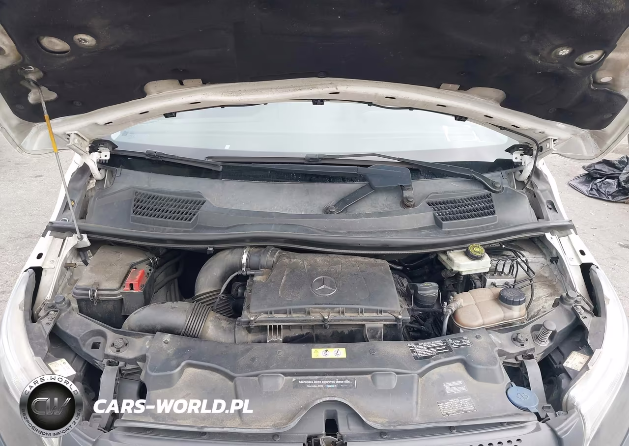 2019 Mercedes-Benz Metris VIN:WD4PG2EE1K3534982 - 10