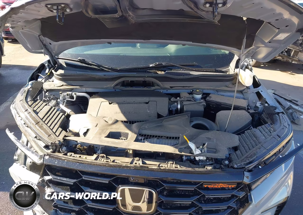 2025 Honda Pilot Trailsport VIN:5FNYG1H66SB040228 - 10