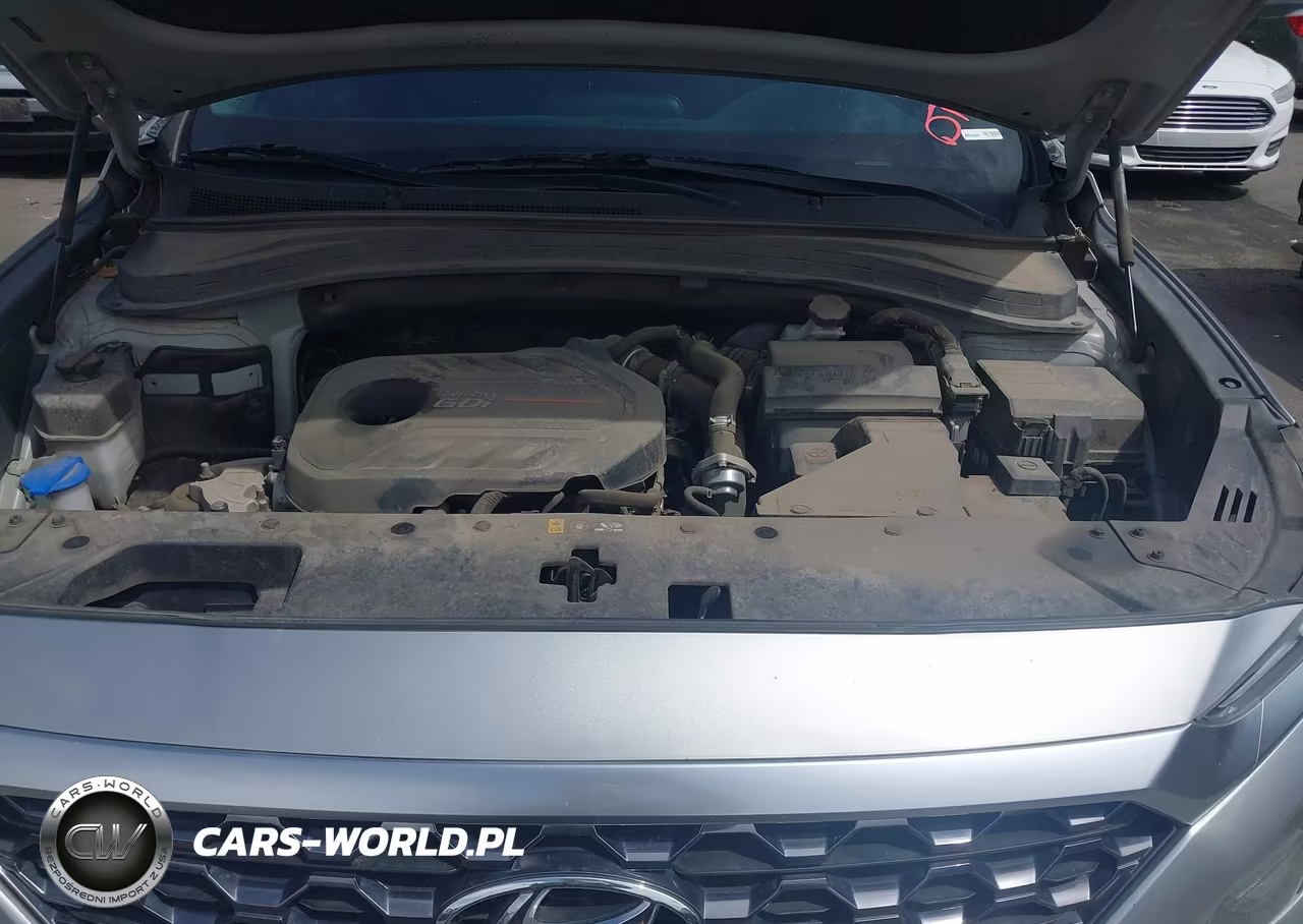 2020 Hyundai Santa Fe Sel 2.0T VIN:5NMS3CAA5LH229013 - 10