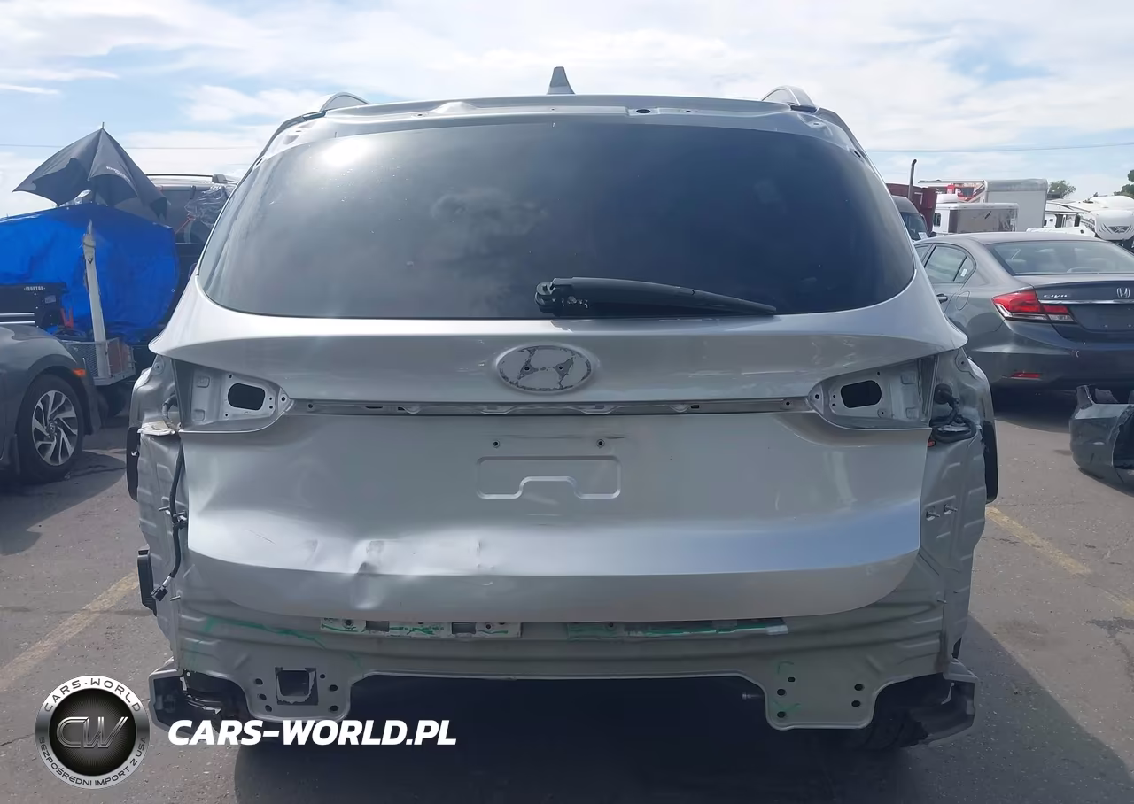2020 Hyundai Santa Fe Sel 2.0T VIN:5NMS3CAA5LH229013 - 16