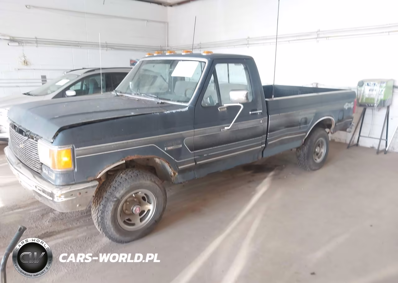 1991 Ford F150 VIN:1FTEF14N8MLA21604 - 2
