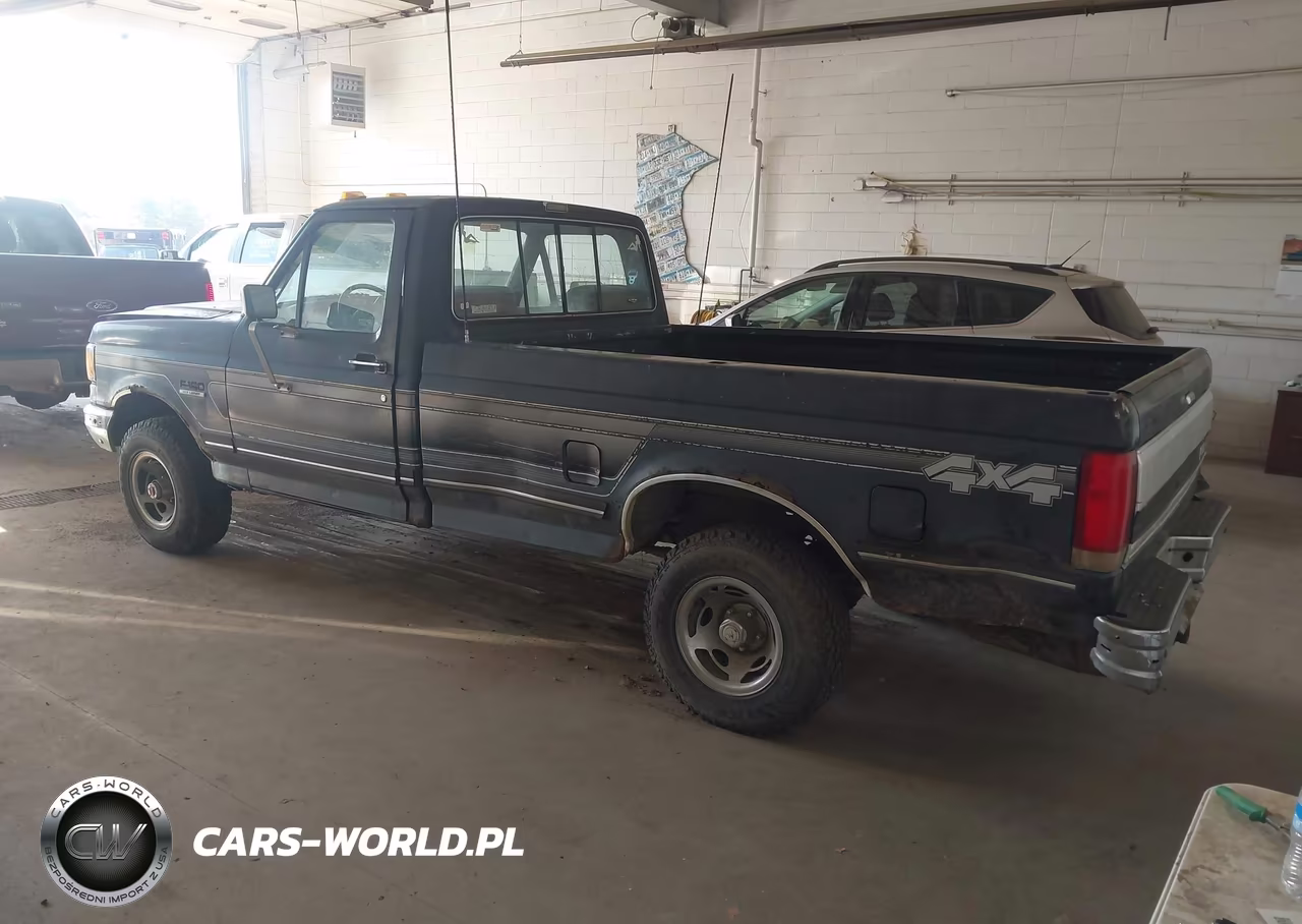 1991 Ford F150 VIN:1FTEF14N8MLA21604 - 3