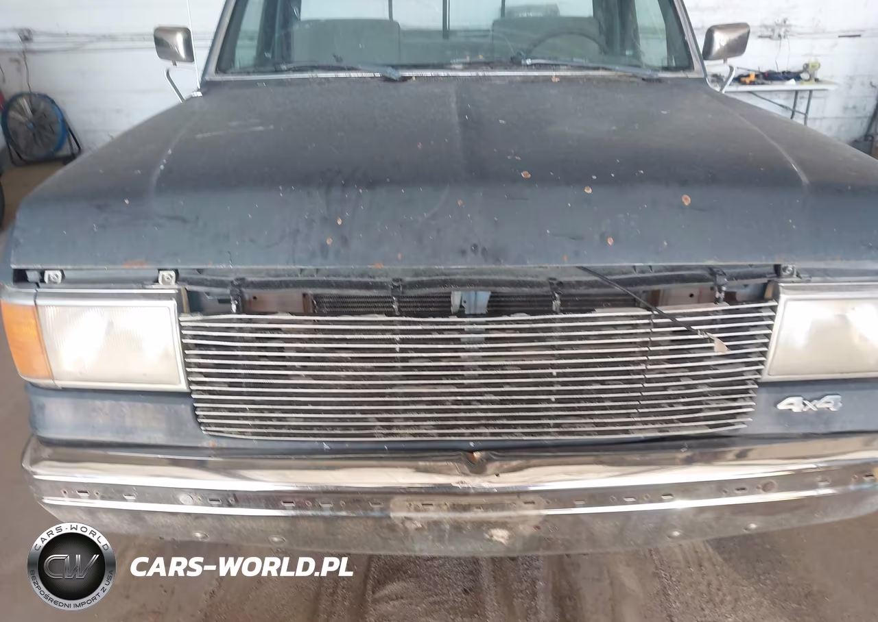 1991 Ford F150 VIN:1FTEF14N8MLA21604 - 6