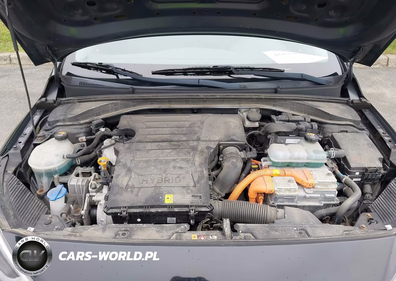 2019 Hyundai Ioniq Hybrid Blue VIN:KMHC65LC0KU156576 - 10