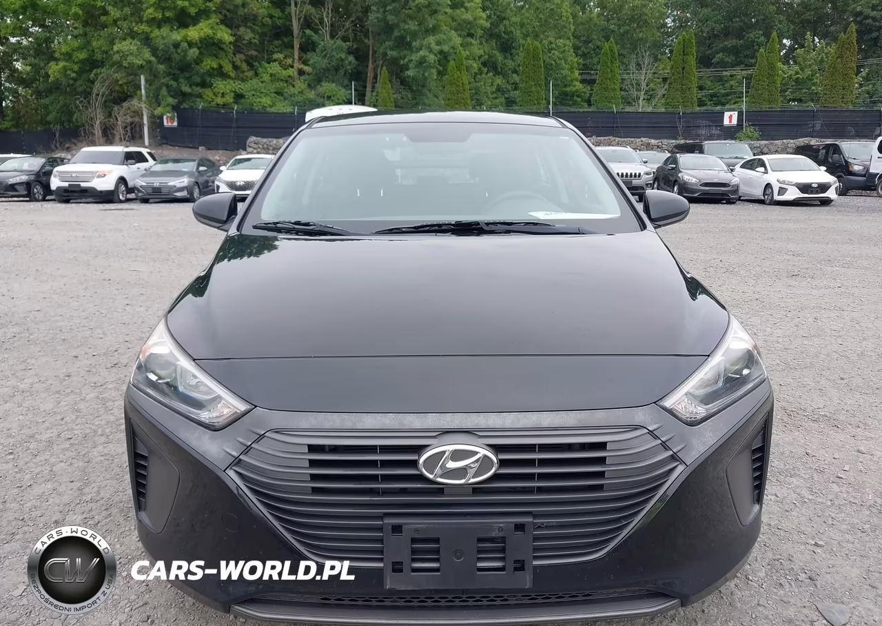 2019 Hyundai Ioniq Hybrid Blue VIN:KMHC65LC0KU156576 - 17