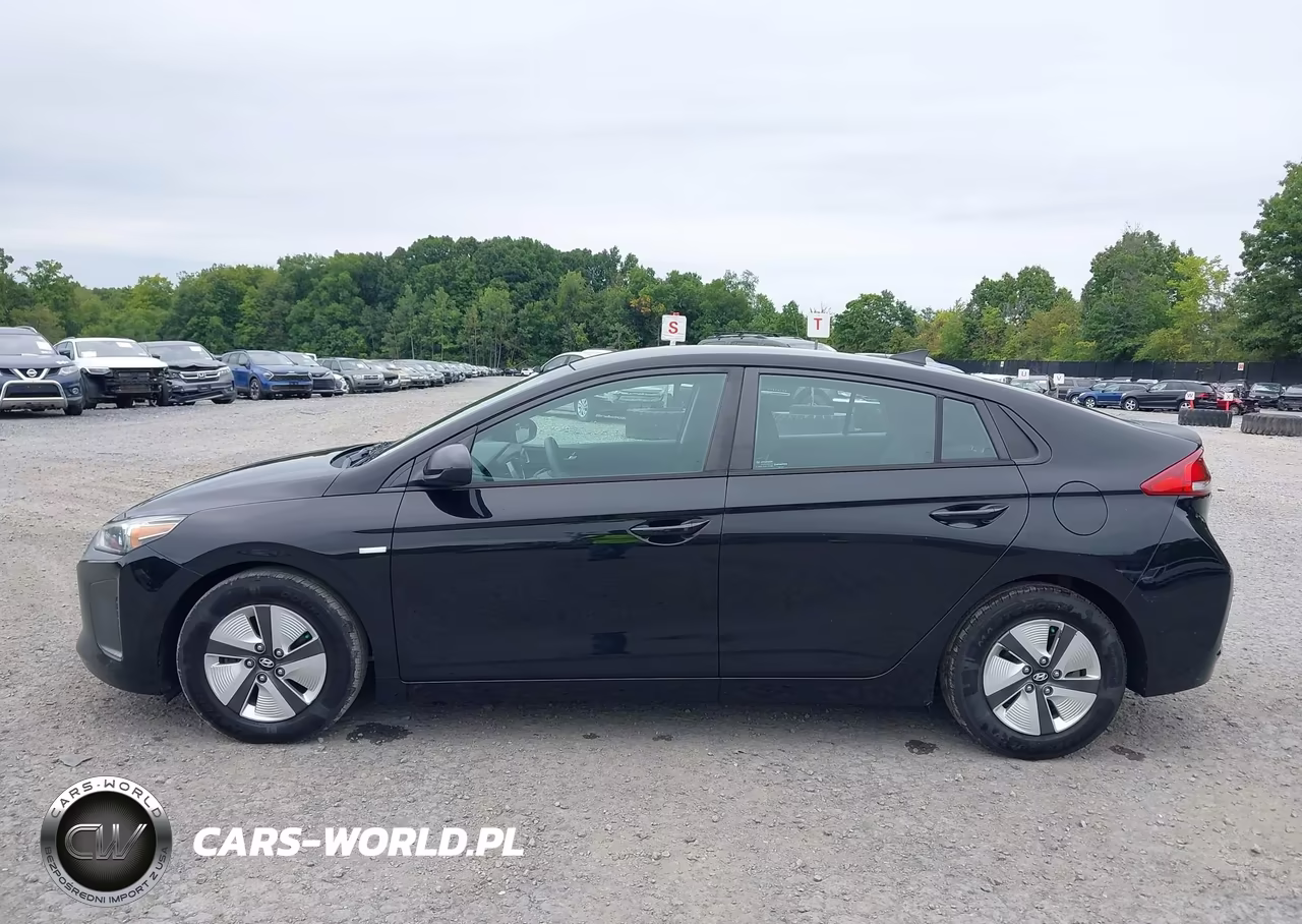 2019 Hyundai Ioniq Hybrid Blue VIN:KMHC65LC0KU156576 - 19