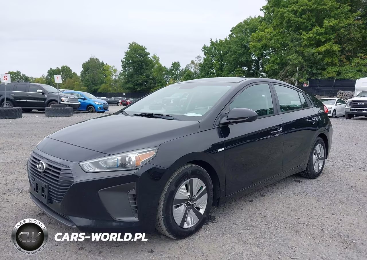 2019 Hyundai Ioniq Hybrid Blue VIN:KMHC65LC0KU156576 - 2