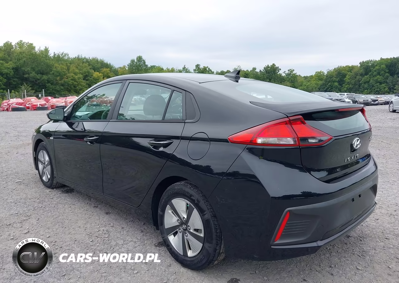 2019 Hyundai Ioniq Hybrid Blue VIN:KMHC65LC0KU156576 - 3