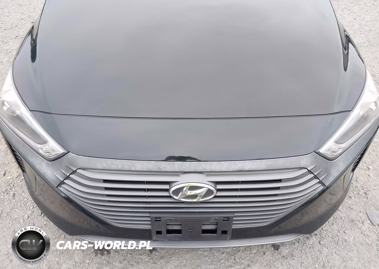 2019 Hyundai Ioniq Hybrid Blue VIN:KMHC65LC0KU156576 - 6
