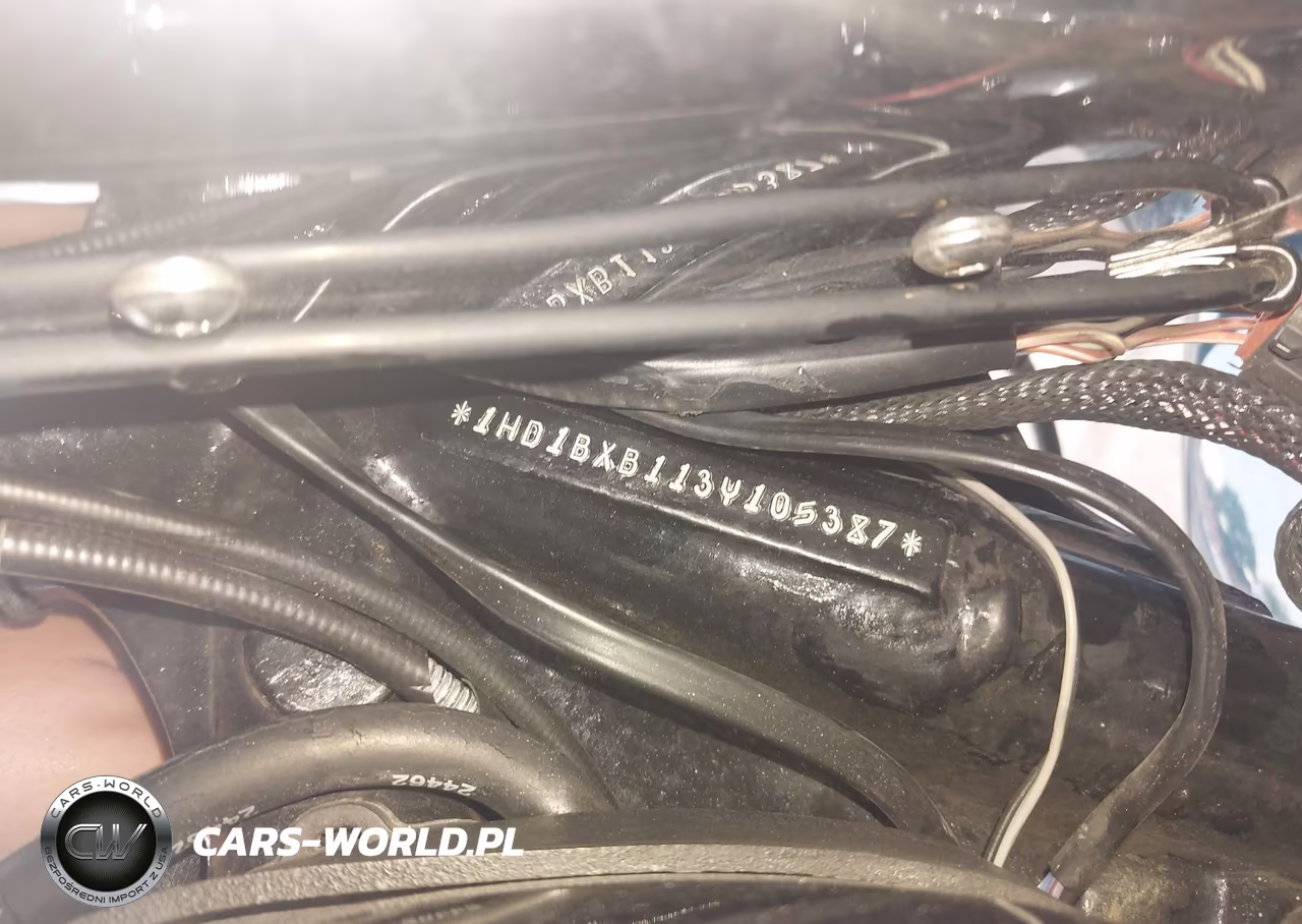 2003 Harley-Davidson Flstfi VIN:1HD1BXB113Y105387 - 10