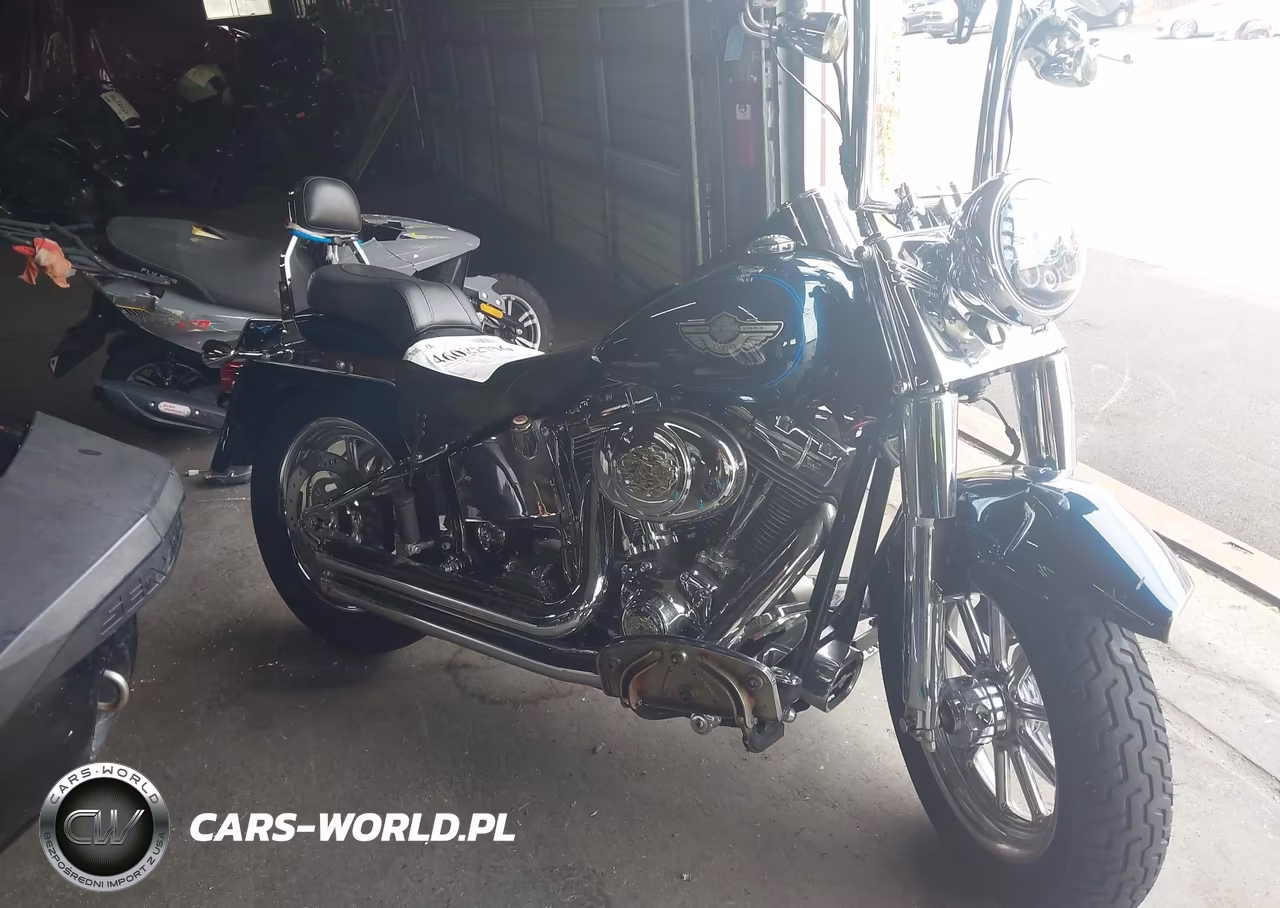 2003 Harley-Davidson Flstfi VIN:1HD1BXB113Y105387 - 12