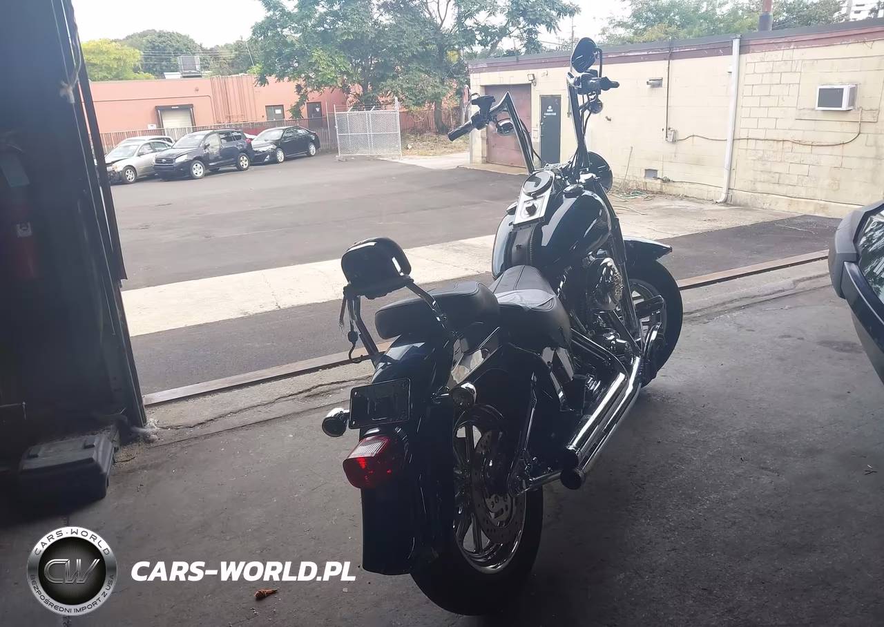 2003 Harley-Davidson Flstfi VIN:1HD1BXB113Y105387 - 4