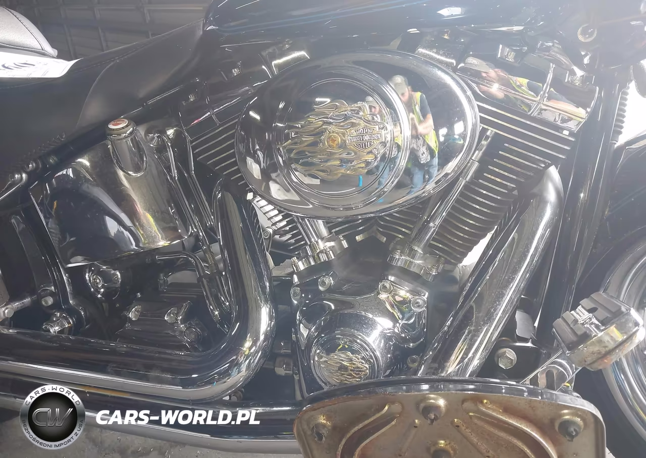 2003 Harley-Davidson Flstfi VIN:1HD1BXB113Y105387 - 8