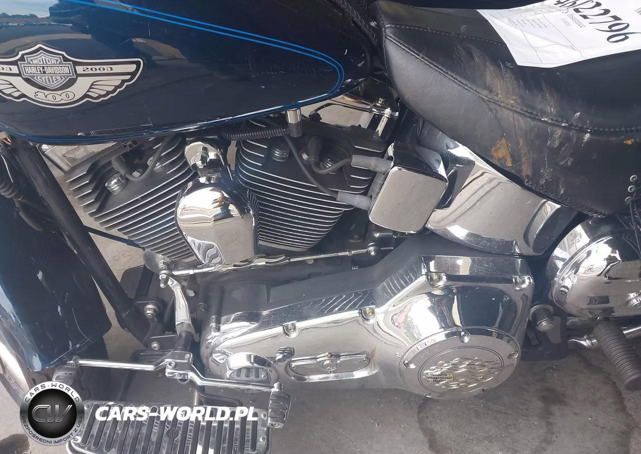 2003 Harley-Davidson Flstfi VIN:1HD1BXB113Y105387 - 9