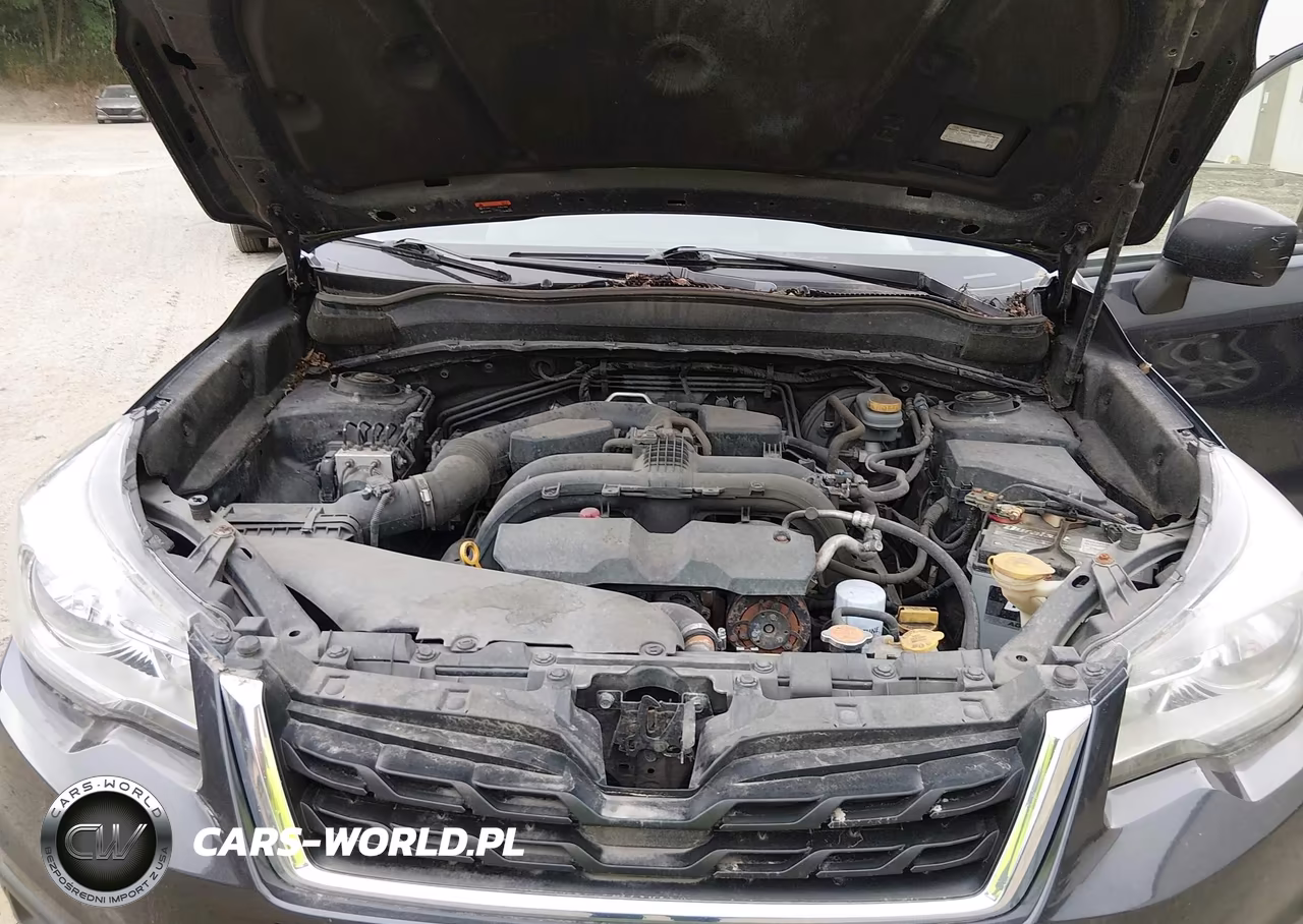 2018 Subaru Forester 2.5I VIN:JF2SJABC2JH456492 - 10