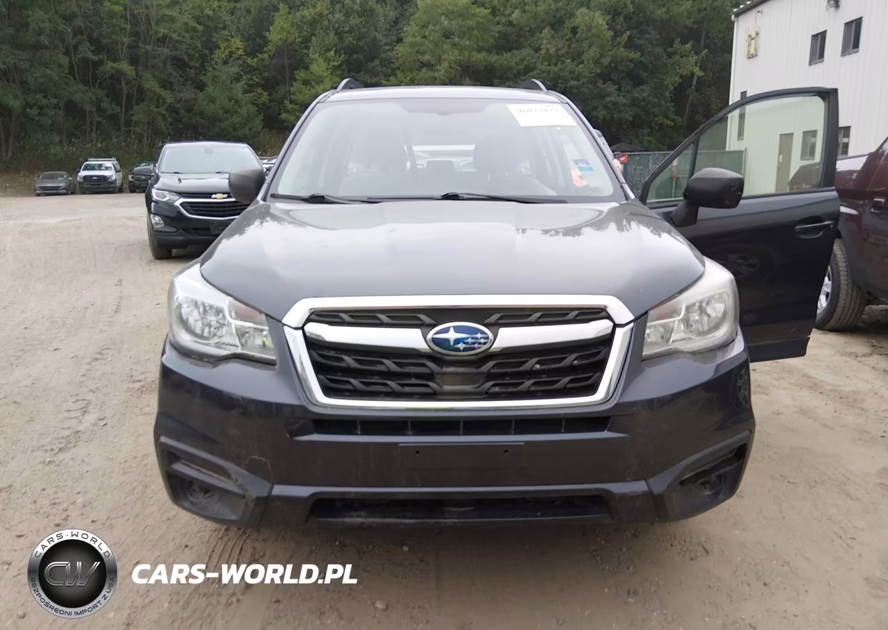 2018 Subaru Forester 2.5I VIN:JF2SJABC2JH456492 - 6