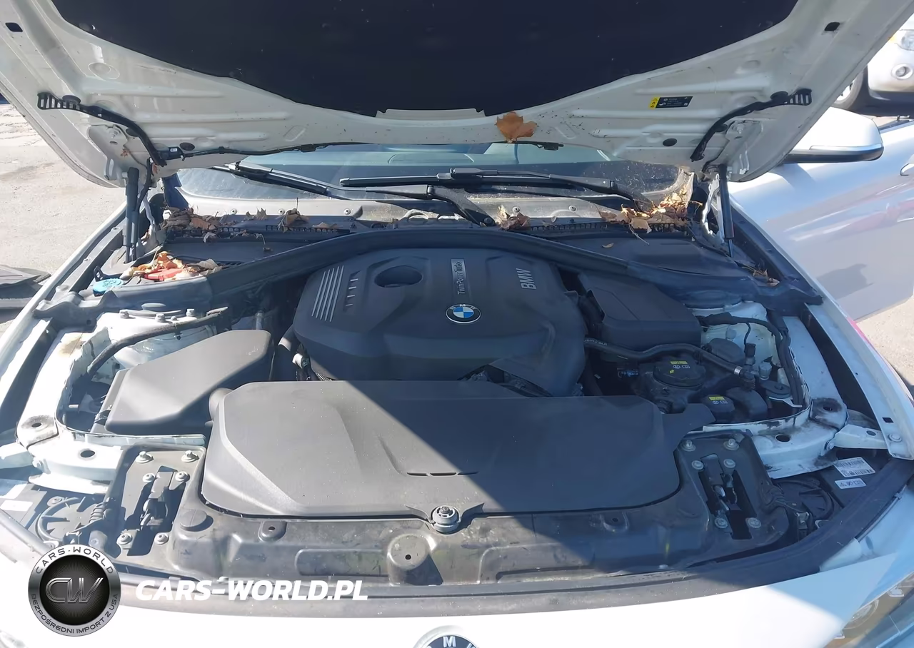 2017 BMW 430I Gran Coupe xDrive VIN:WBA4F9C39HG813119 - 10