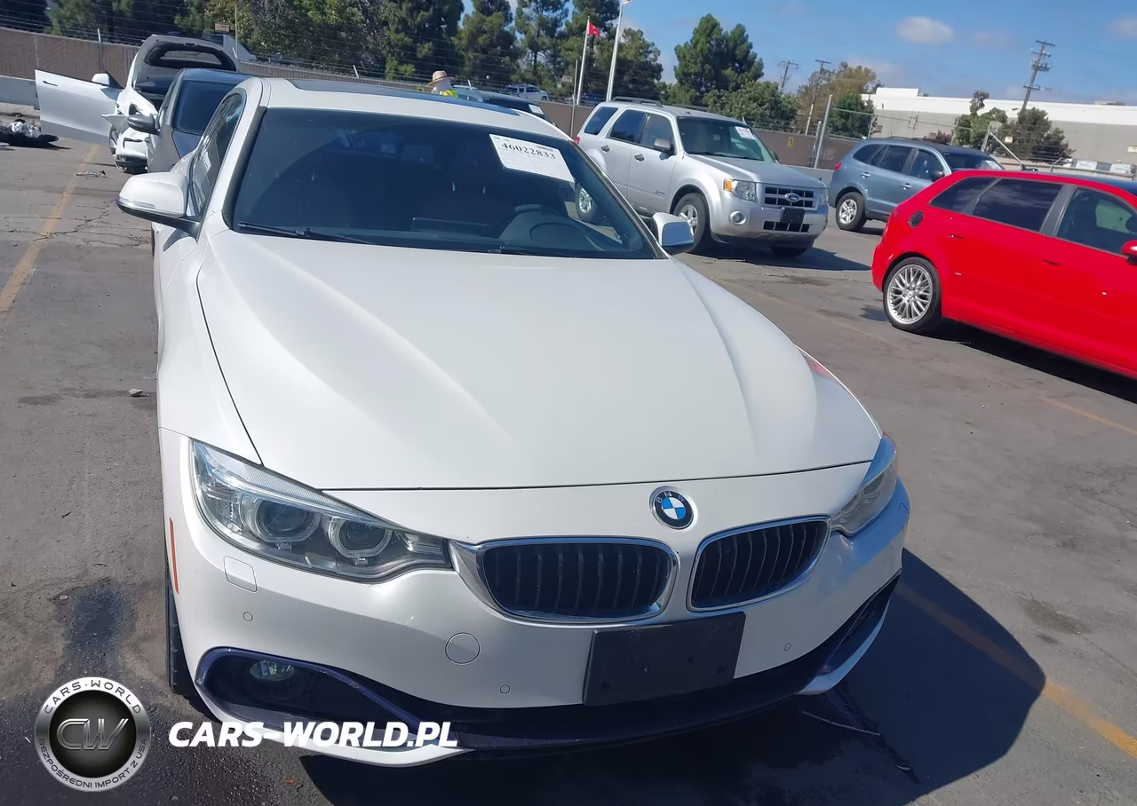 2017 BMW 430I Gran Coupe xDrive VIN:WBA4F9C39HG813119 - 12