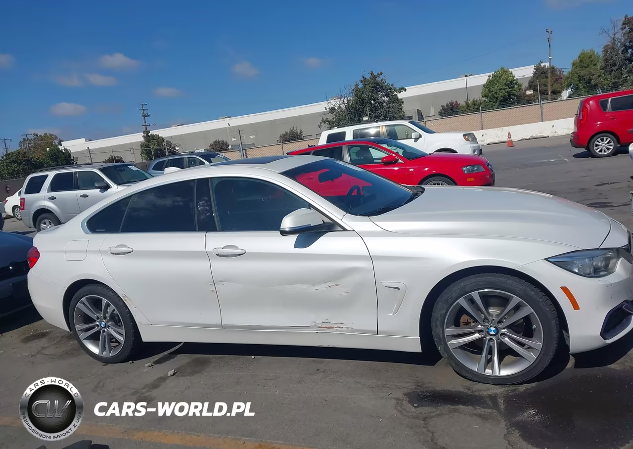 2017 BMW 430I Gran Coupe xDrive VIN:WBA4F9C39HG813119 - 13