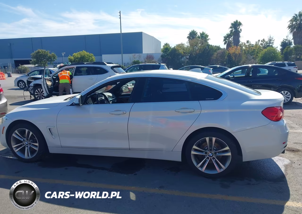 2017 BMW 430I Gran Coupe xDrive VIN:WBA4F9C39HG813119 - 14