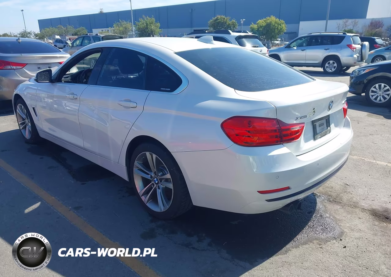 2017 BMW 430I Gran Coupe xDrive VIN:WBA4F9C39HG813119 - 3