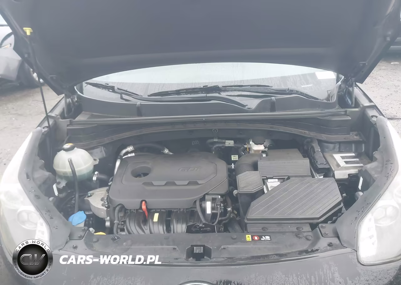 2019 Kia Sportage Lx VIN:KNDPM3AC2K7501642 - 10