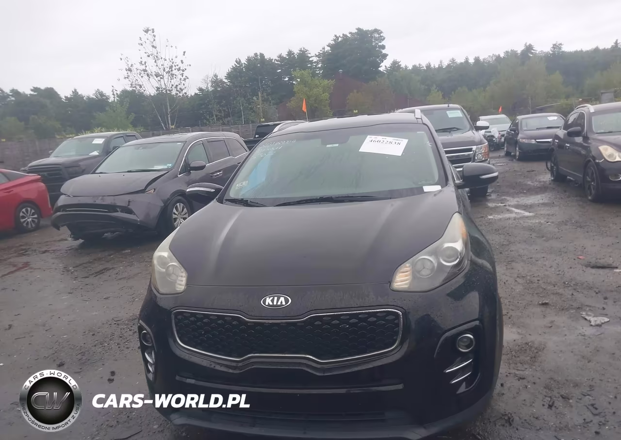 2019 Kia Sportage Lx VIN:KNDPM3AC2K7501642 - 12