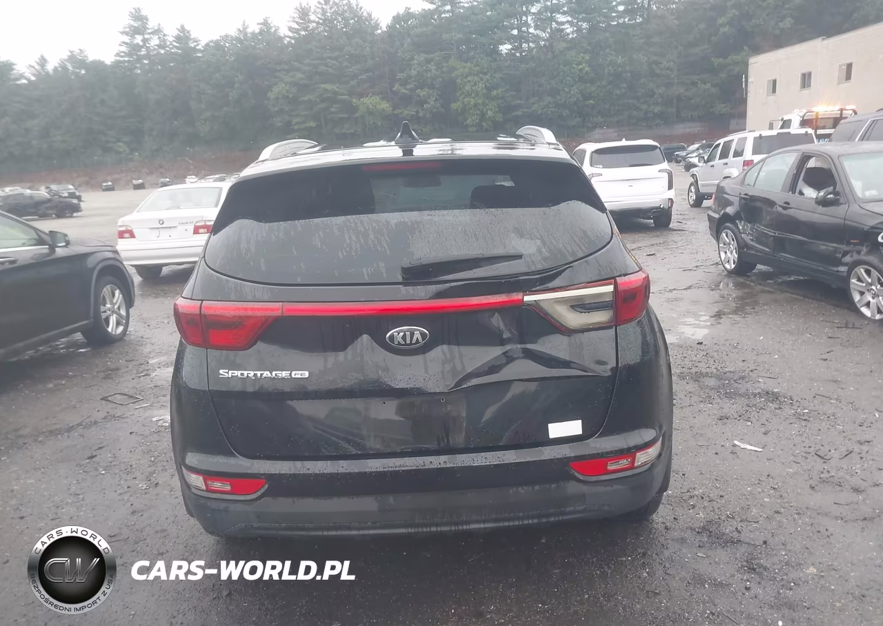 2019 Kia Sportage Lx VIN:KNDPM3AC2K7501642 - 16