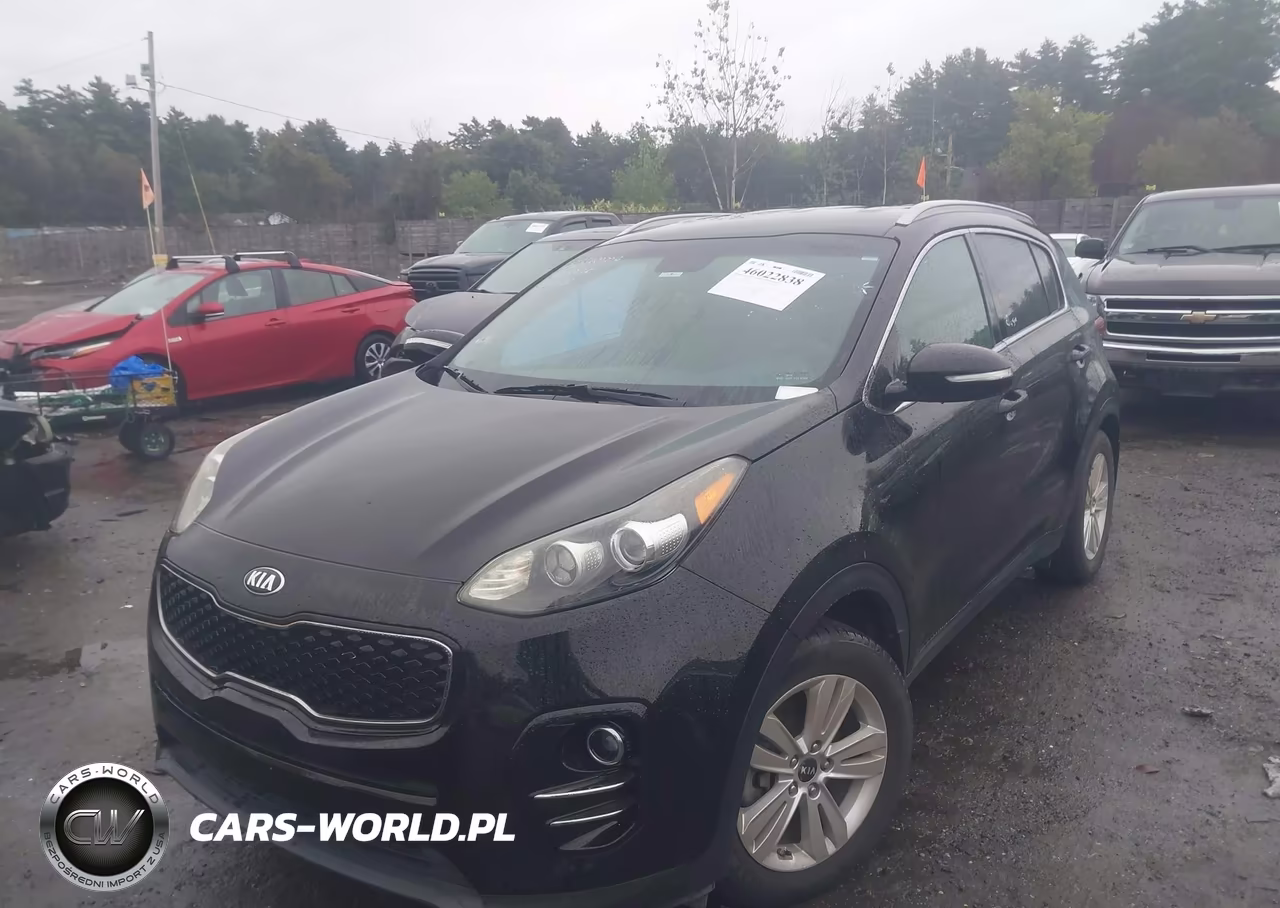 2019 Kia Sportage Lx VIN:KNDPM3AC2K7501642 - 2