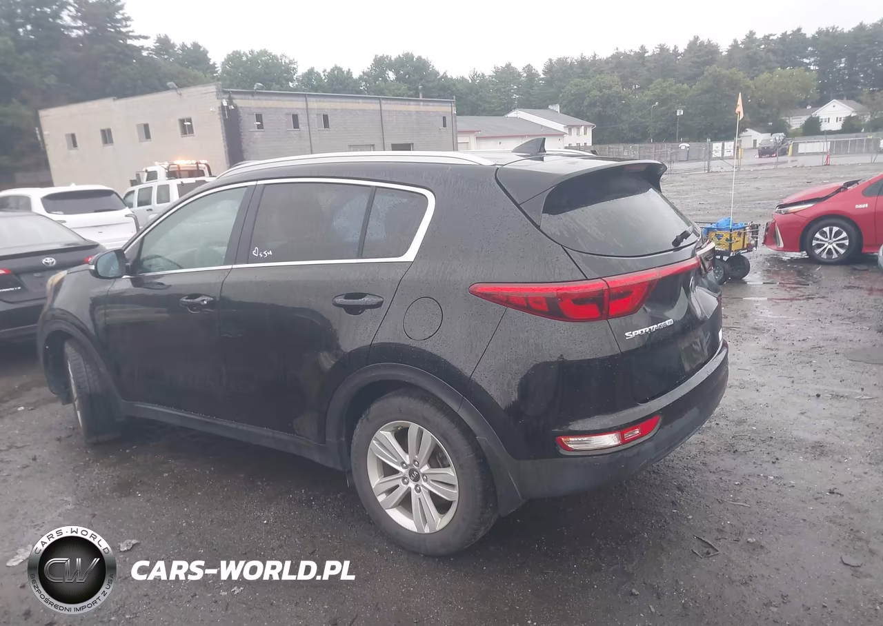 2019 Kia Sportage Lx VIN:KNDPM3AC2K7501642 - 3