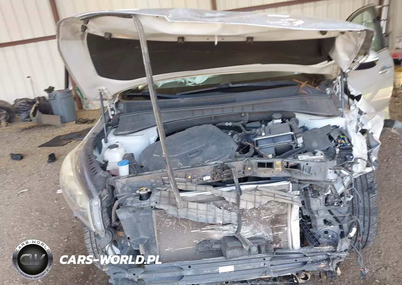 2019 Kia Sorento 3.3L Lx VIN:5XYPG4A57KG441133 - 10