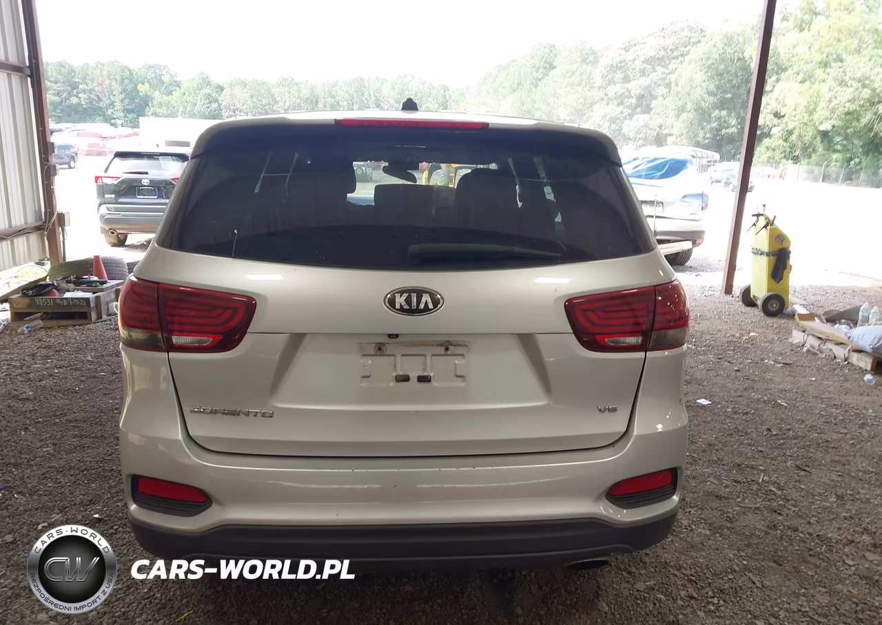 2019 Kia Sorento 3.3L Lx VIN:5XYPG4A57KG441133 - 16