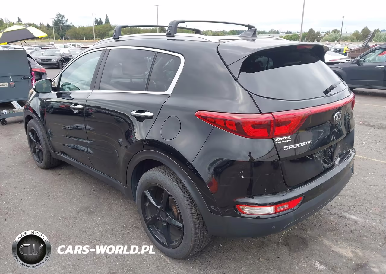 2017 Kia Sportage Ex VIN:KNDPN3ACXH7226334 - 3