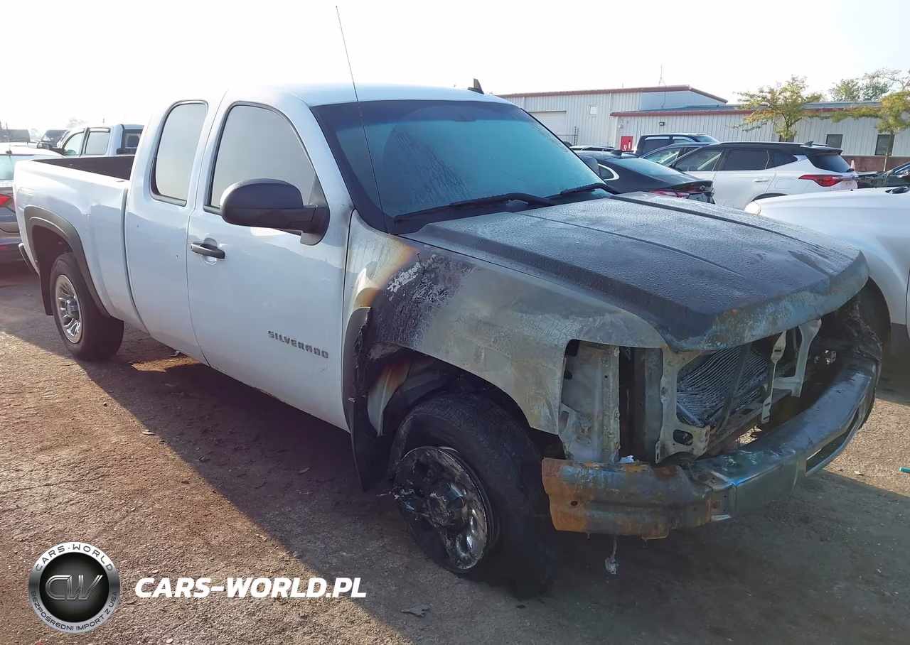 2009 Chevrolet Silverado 1500 Work Truck