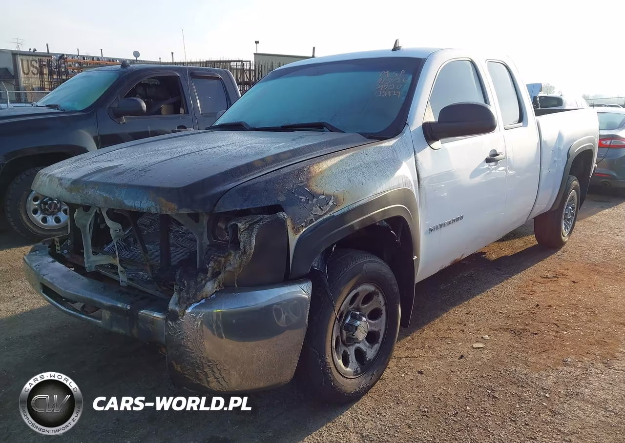 2009 Chevrolet Silverado 1500 Work Truck VIN:1GCEC19X79Z297120 - 2