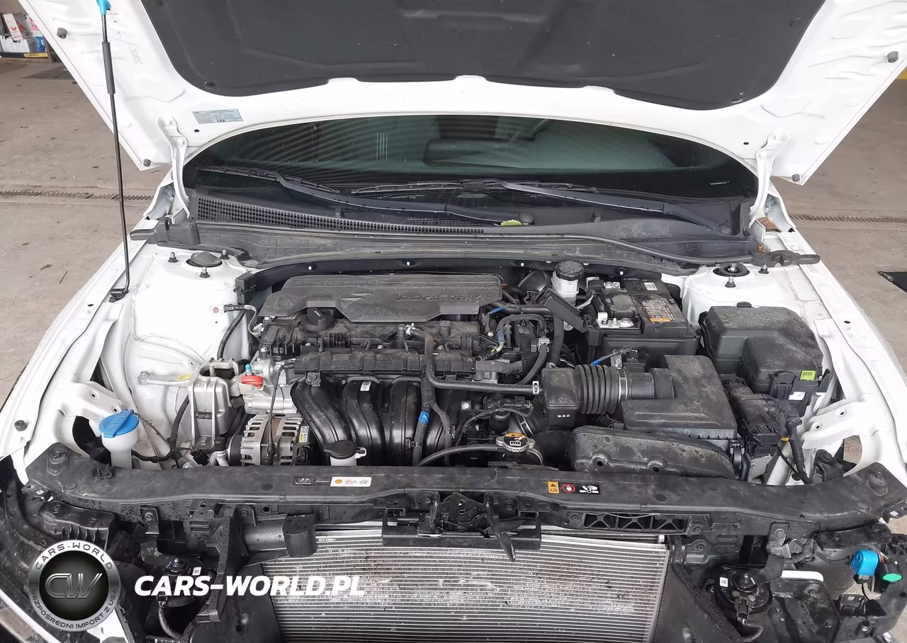 2024 Hyundai Elantra Sel VIN:KMHLS4DG8RU672346 - 10