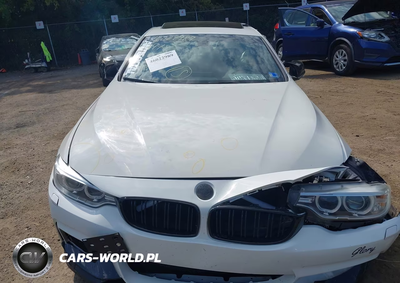 2017 BMW 430I xDrive VIN:WBA4R9C59HK878638 - 12