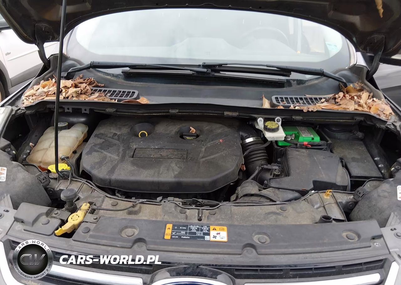 2013 Ford Escape Titanium VIN:1FMCU9J97DUD02270 - 10