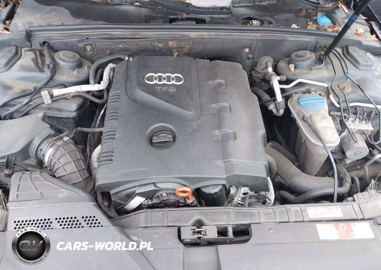 2009 Audi A4 2.0T Premium VIN:WAUMF78K89N061527 - 10