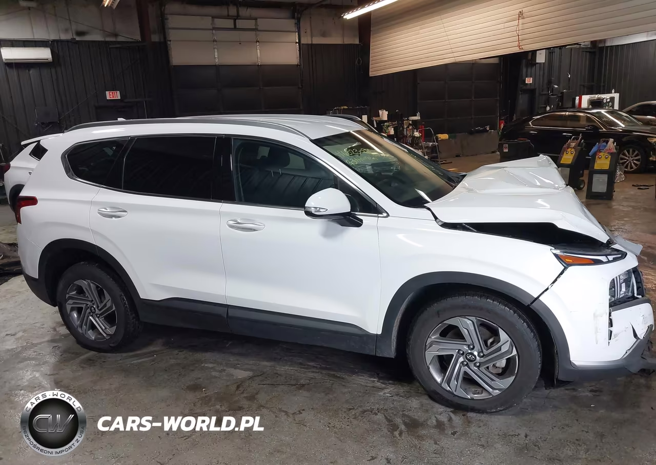 2023 Hyundai Santa Fe Sel VIN:5NMS24AJ8PH640811 - 13
