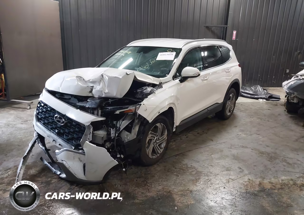 2023 Hyundai Santa Fe Sel VIN:5NMS24AJ8PH640811 - 2