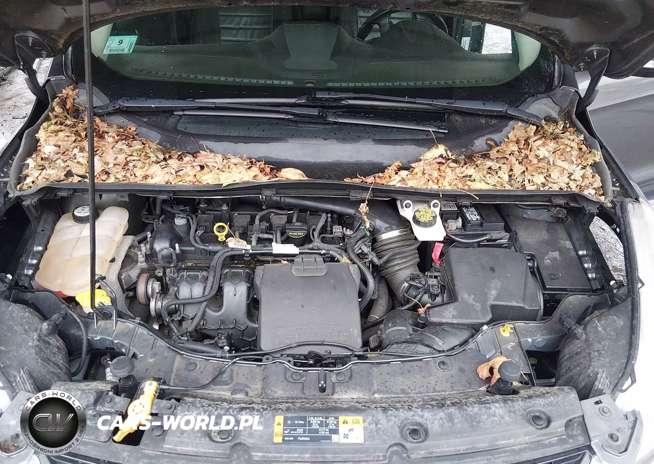 2013 Ford Escape Sel VIN:1FMCU9H95DUB19794 - 10