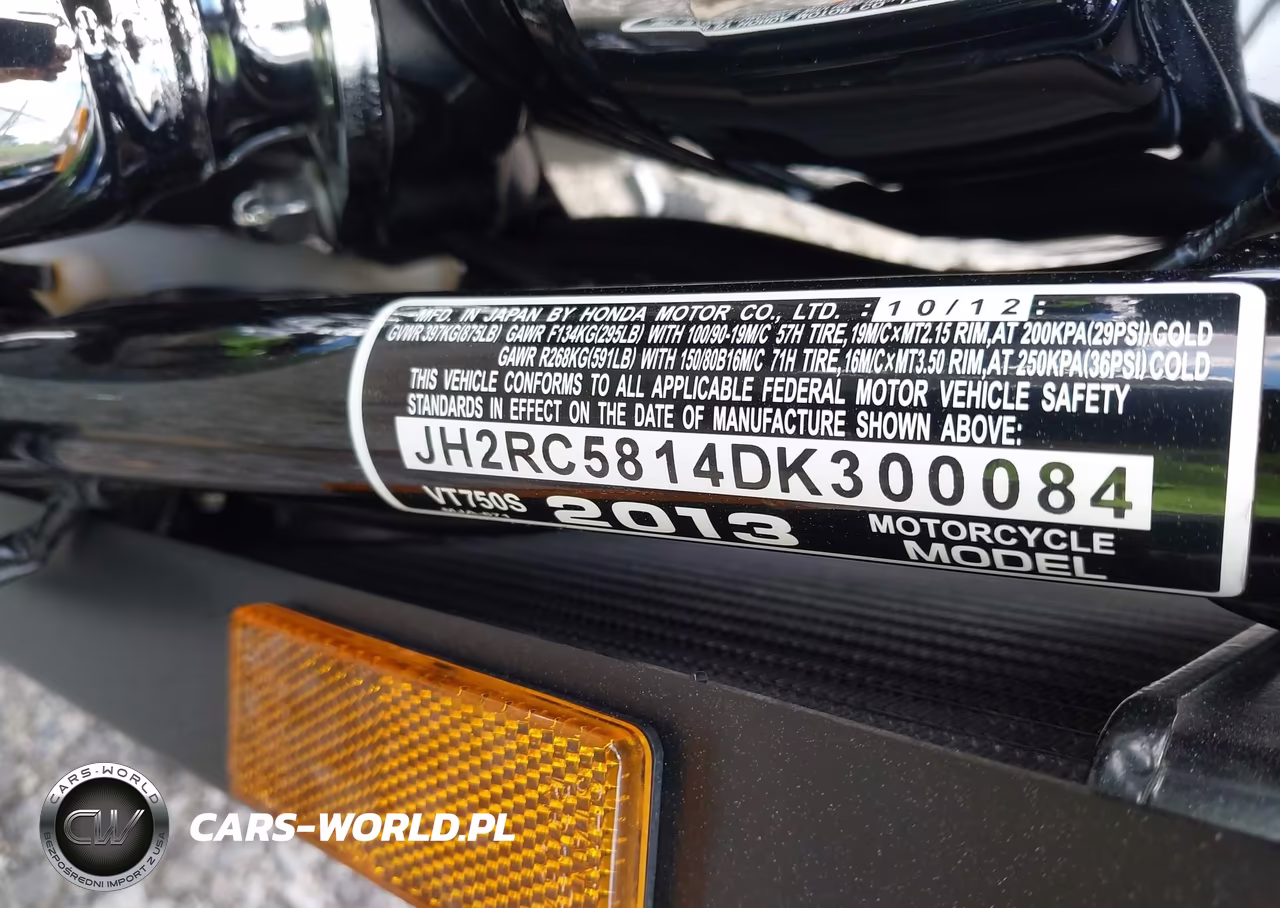 2013 Honda Vt750 S VIN:JH2RC5814DK300084 - 10